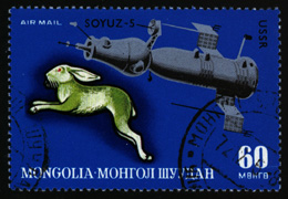 Bunny Stamp
