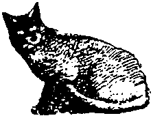 Poes